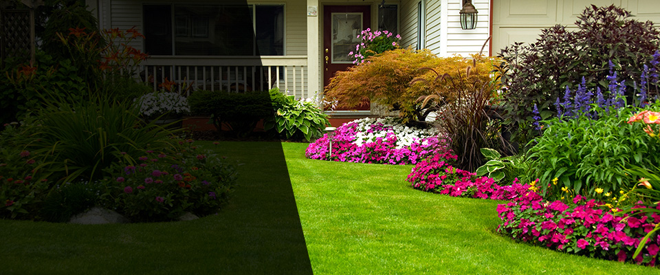 Monkton Landscapers